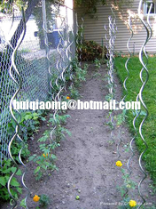 Spiral Plant Stakes,Tomato Stakes,Climbing Plant Support Mesh