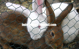 Rabbit-Proof Fencing,Galvanized Rabbit Guard Netting,Hare Fencing,Garden Shield Fence