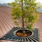 Tree Grates,Tree Guards,Tree Surrounds,Tree Gratings,Tree Grilles