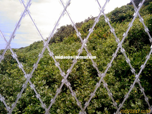 raising fences essay raising fences essay